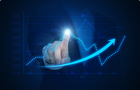 完善制度，规范流程，严格履行信息披露义务