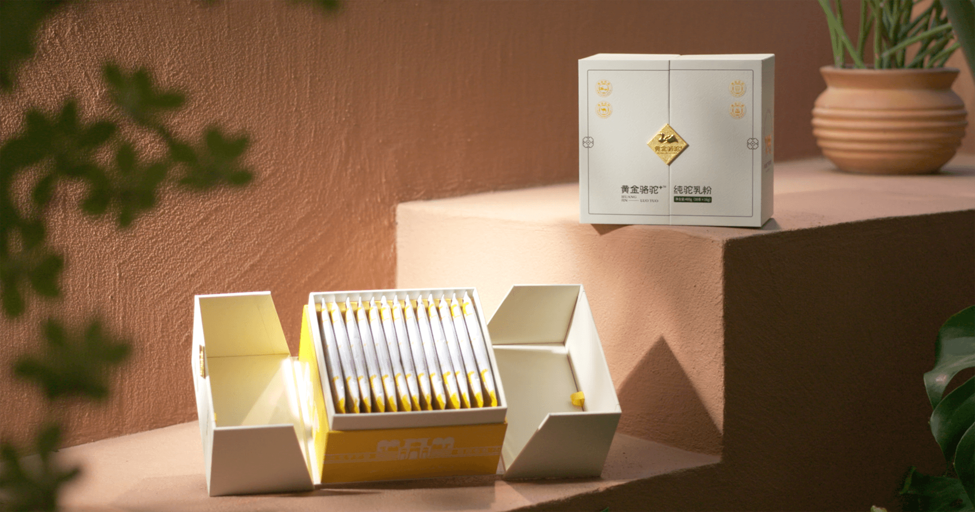 定位小众高端乳粉，jinnianhui今年会推出驼奶品牌“黄金骆驼+”，角逐乳品新市场！